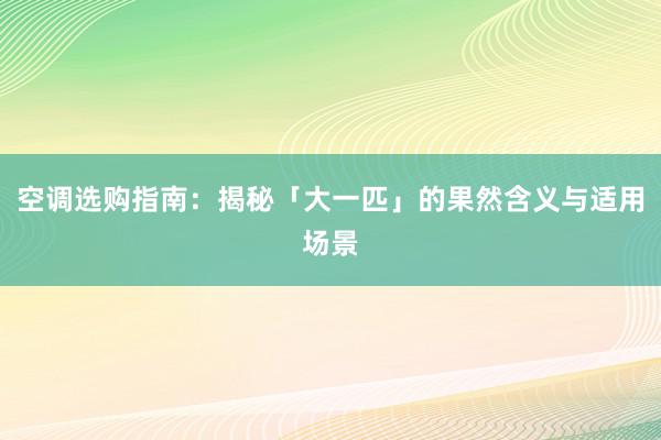 空调选购指南：揭秘「大一匹」的果然含义与适用场景